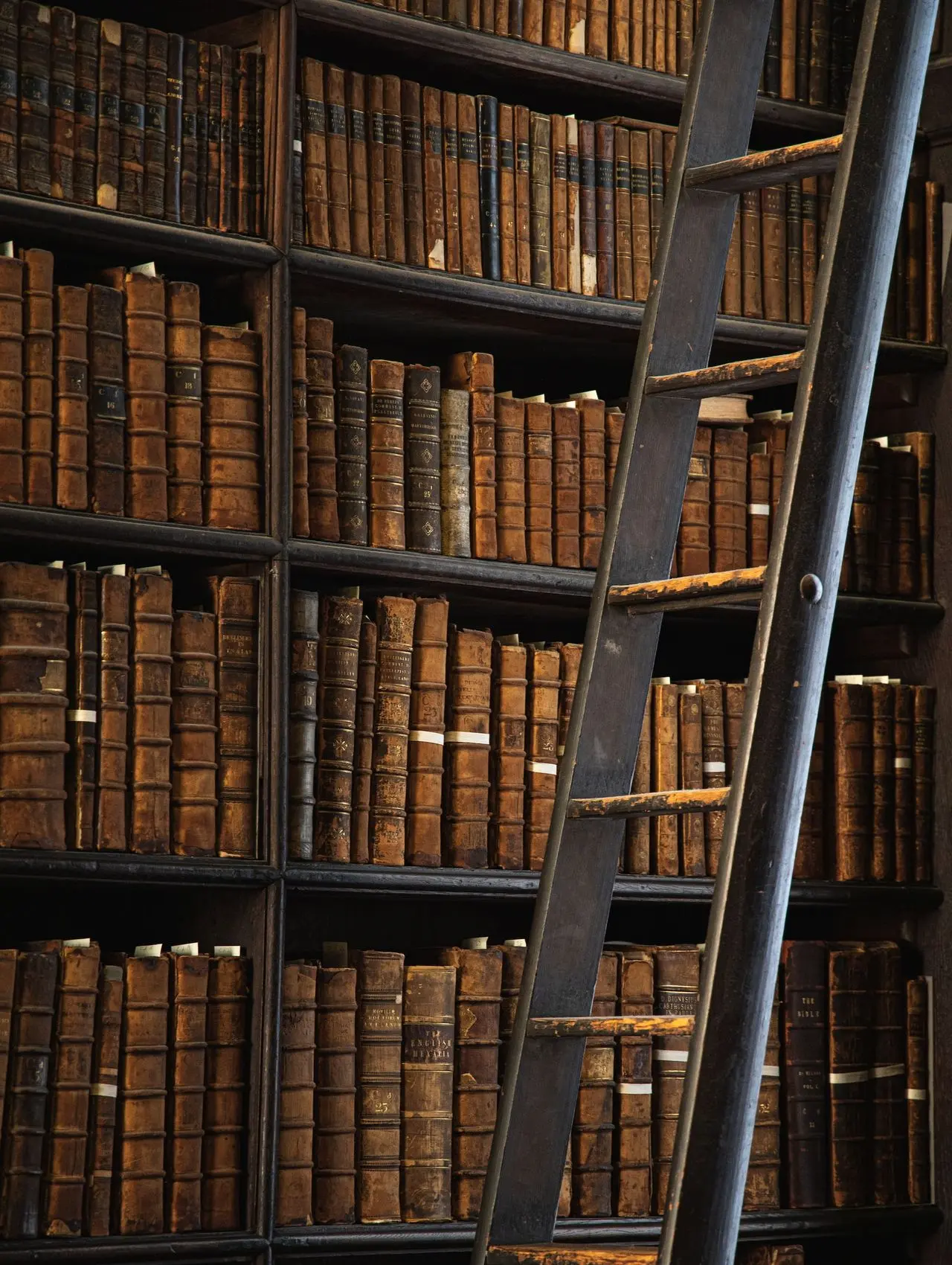 brown wooden book shelf with books